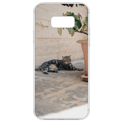 Samsung Galaxy S8 Plus Picture Case - Clear Bumper